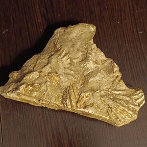 FOSSILS FROM ENGLAND